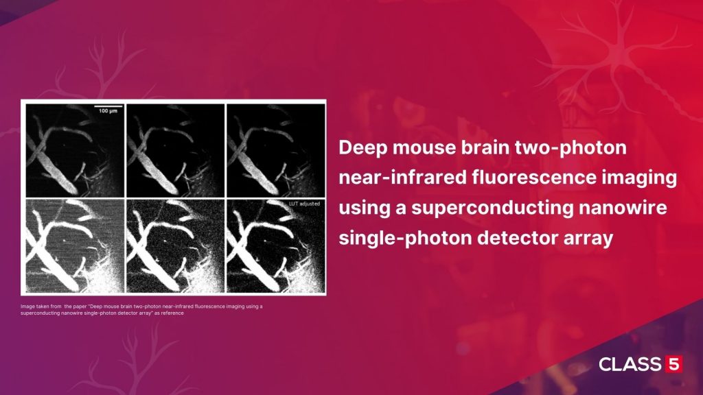 Paper Alert: How deep can you image with 2-photon microscopy? - Class 5 ...